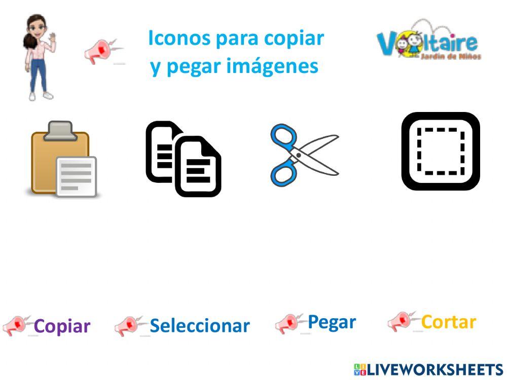 Iconos para seleccionar, copiar, pegar y cortar