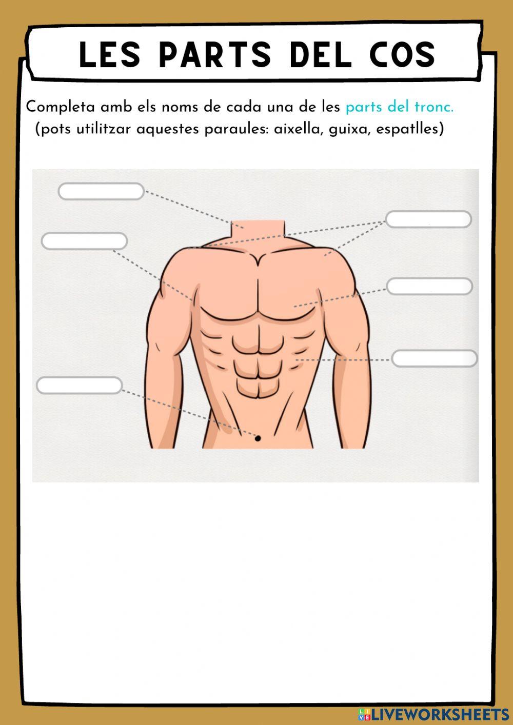 Vocal neutra adaptat