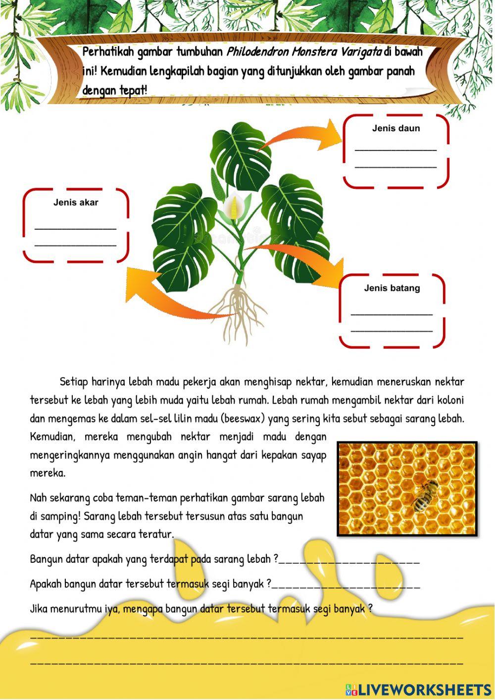 Lembar Kerja Outing Virtual