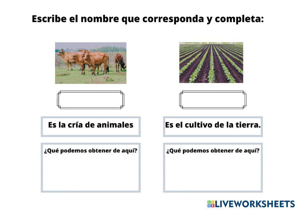 Agricultura y Ganadería