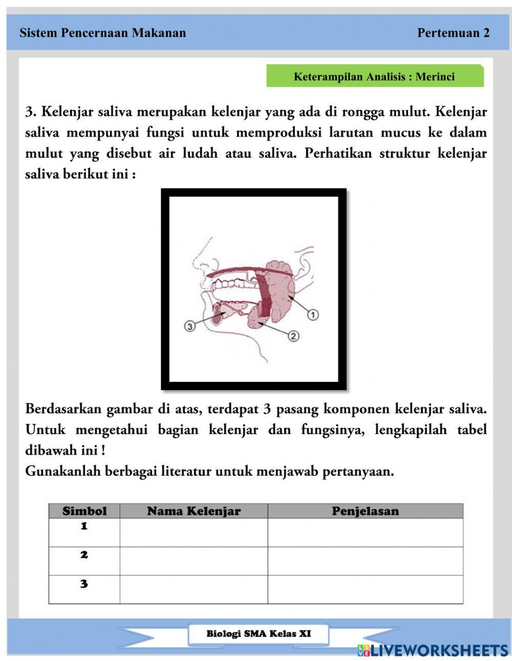 Lkpd pertemuan 2 sistem pencernaan