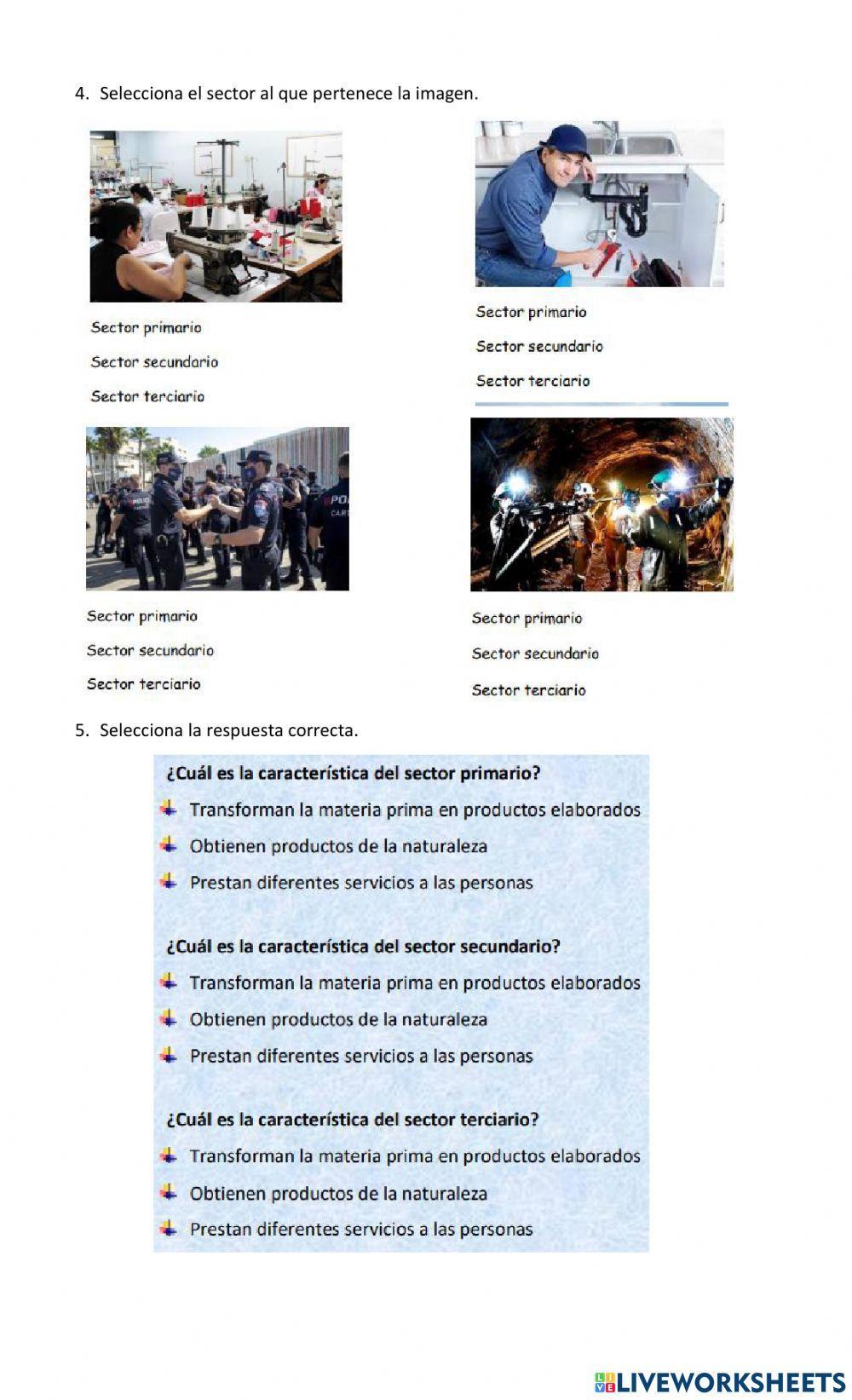 Sectores económicos