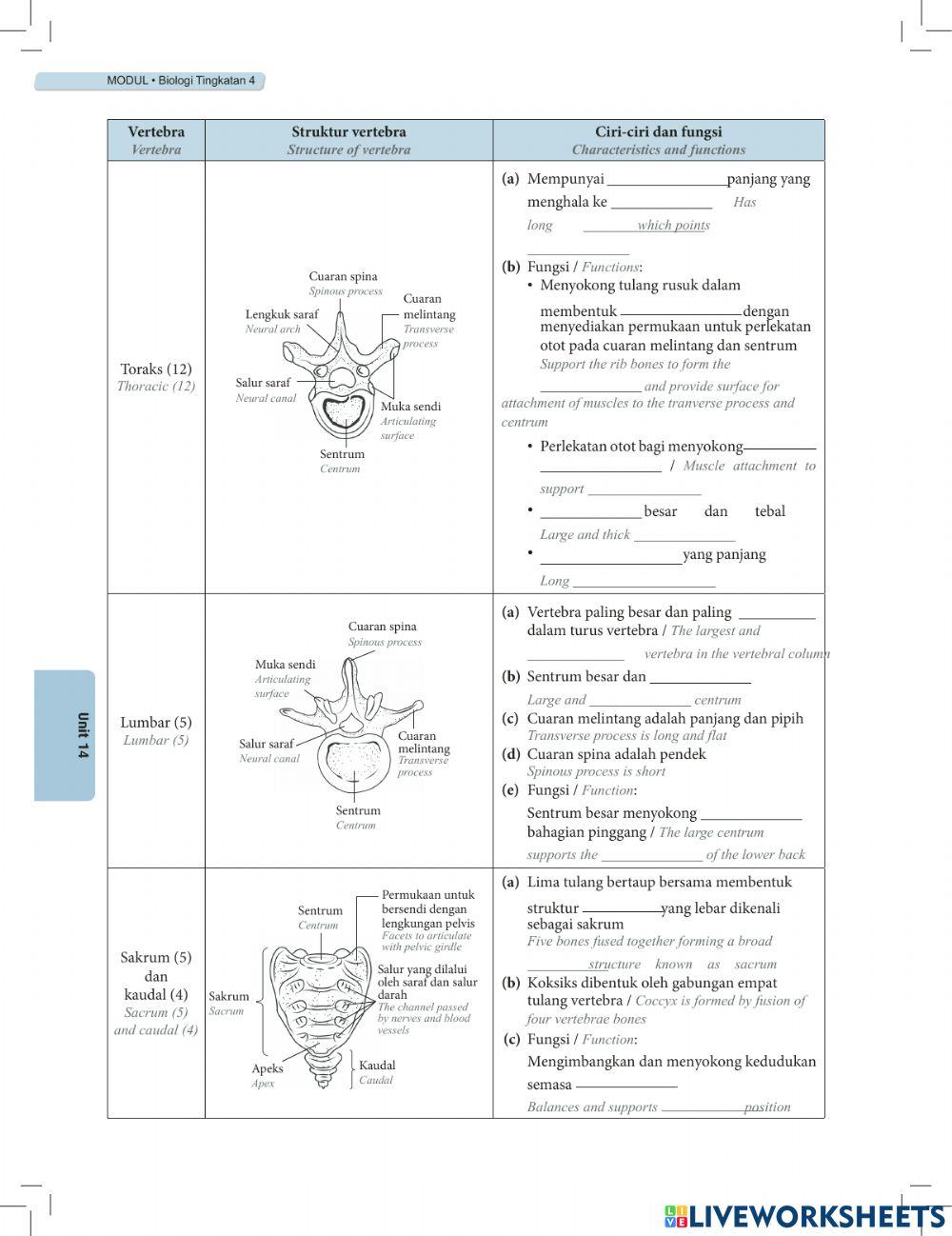 Biologi Ting. 4 KSSM MODUL BAB 14