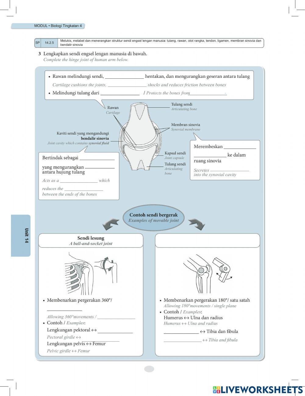 Biologi Ting. 4 KSSM MODUL BAB 14