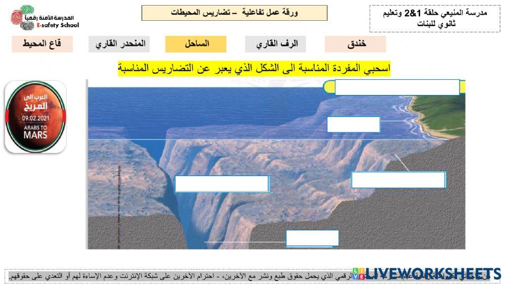 تضاريس المحيط