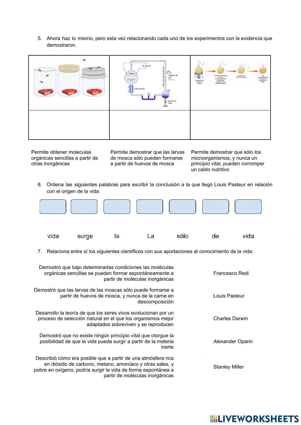 El origen de la vida. Los tres dominios. Archaea