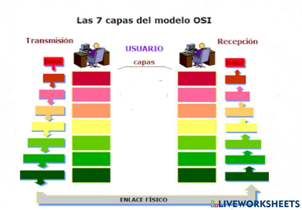 Layers OSI Model interactive worksheet | Live Worksheets