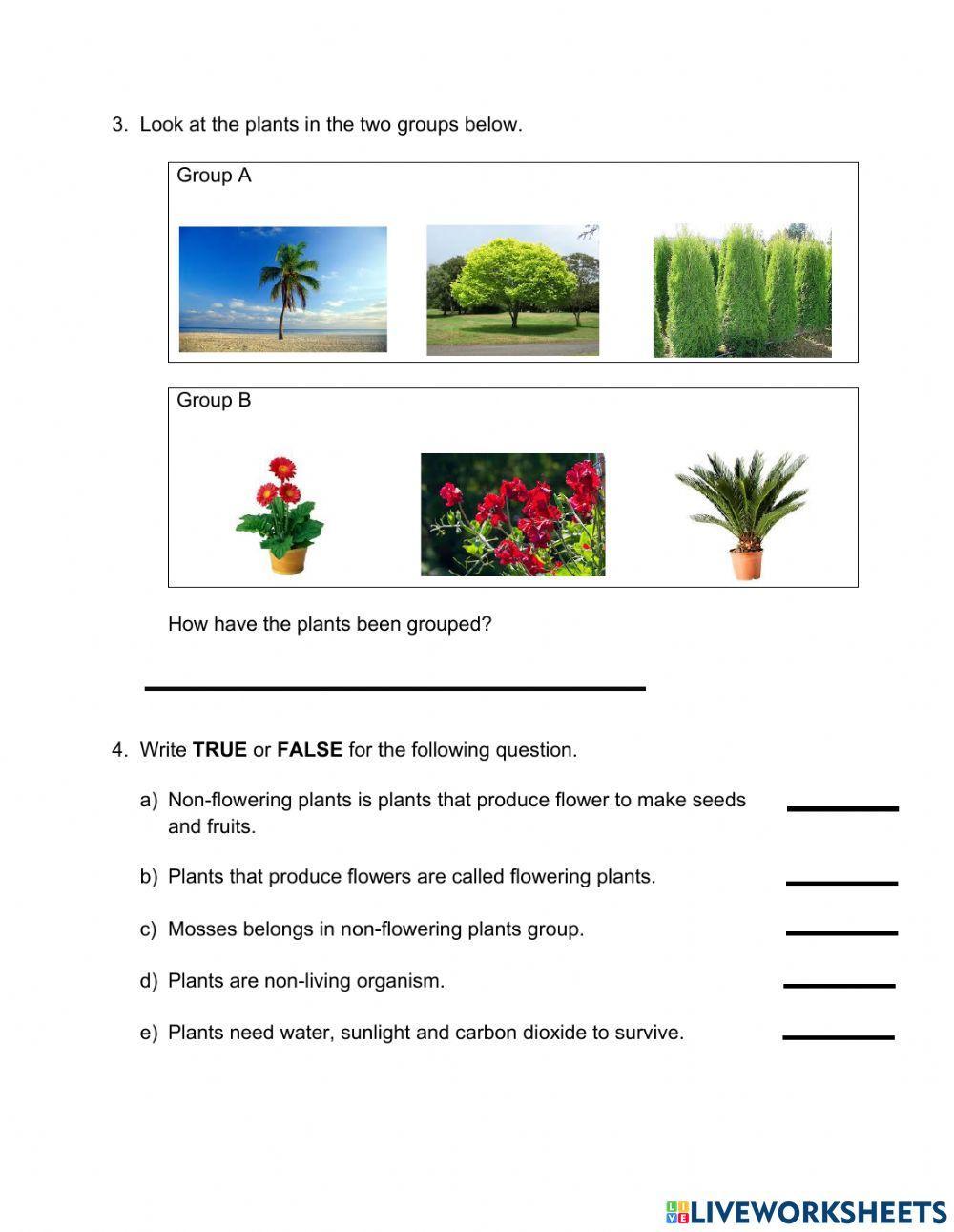 Grouping plants