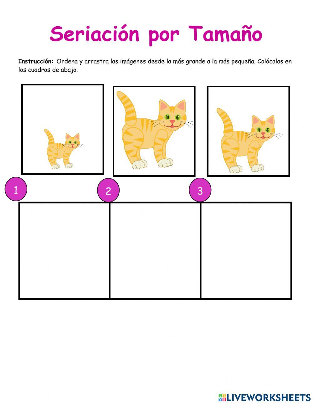 Clasificación y Seriación