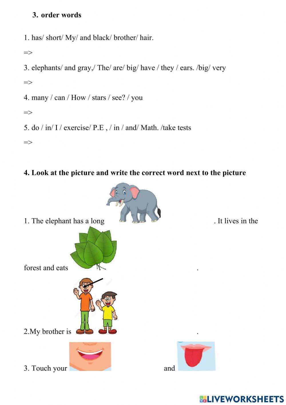 Review the first test- gade 4