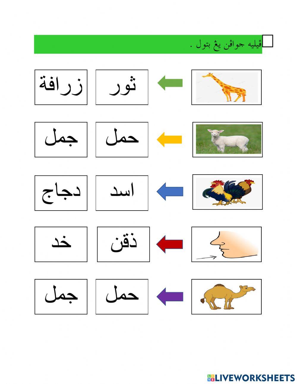 Bahasa Arab : huruf zai