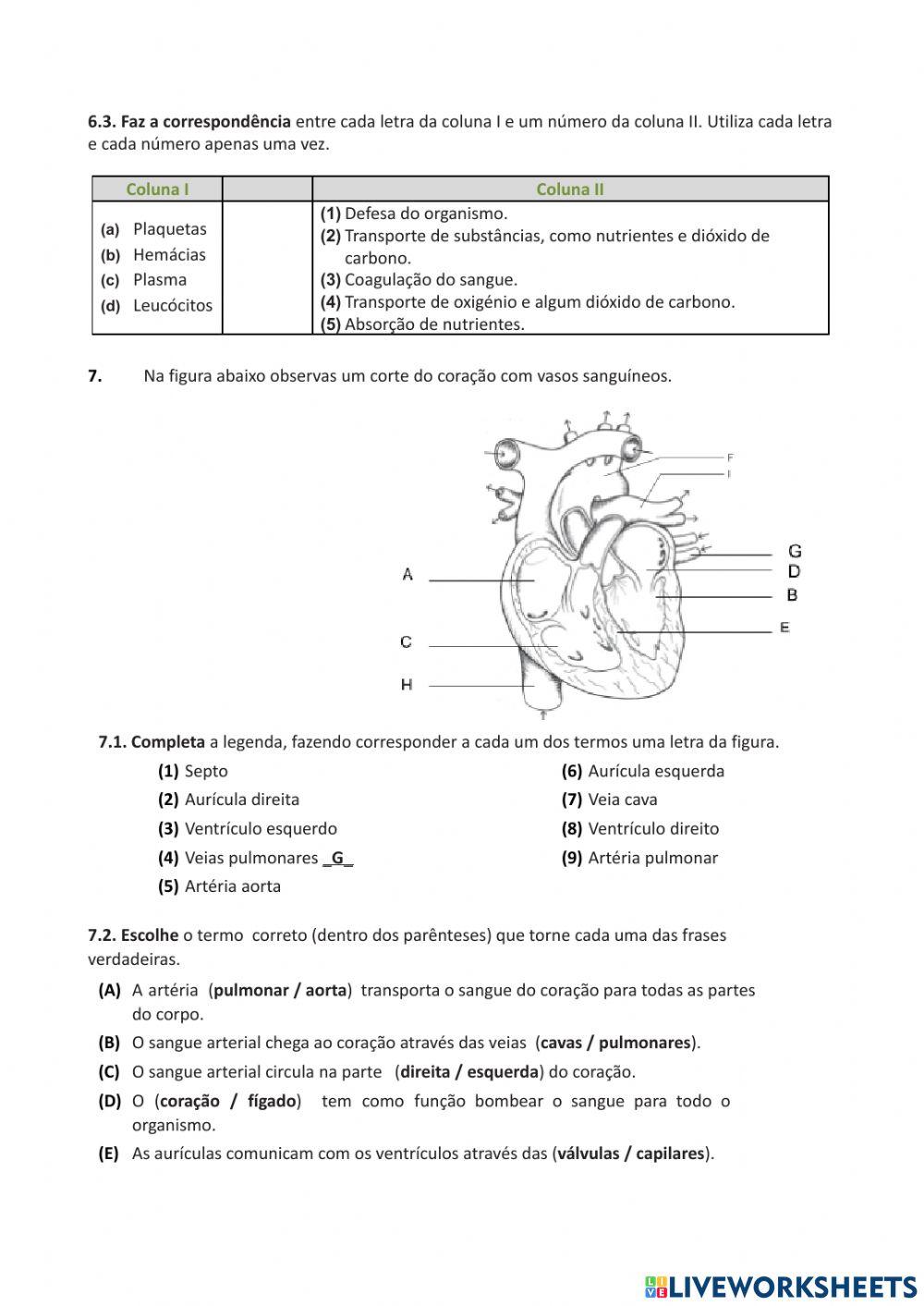 Teste  CN 6º ano Sistema respiratório e sistema cardiovascular.