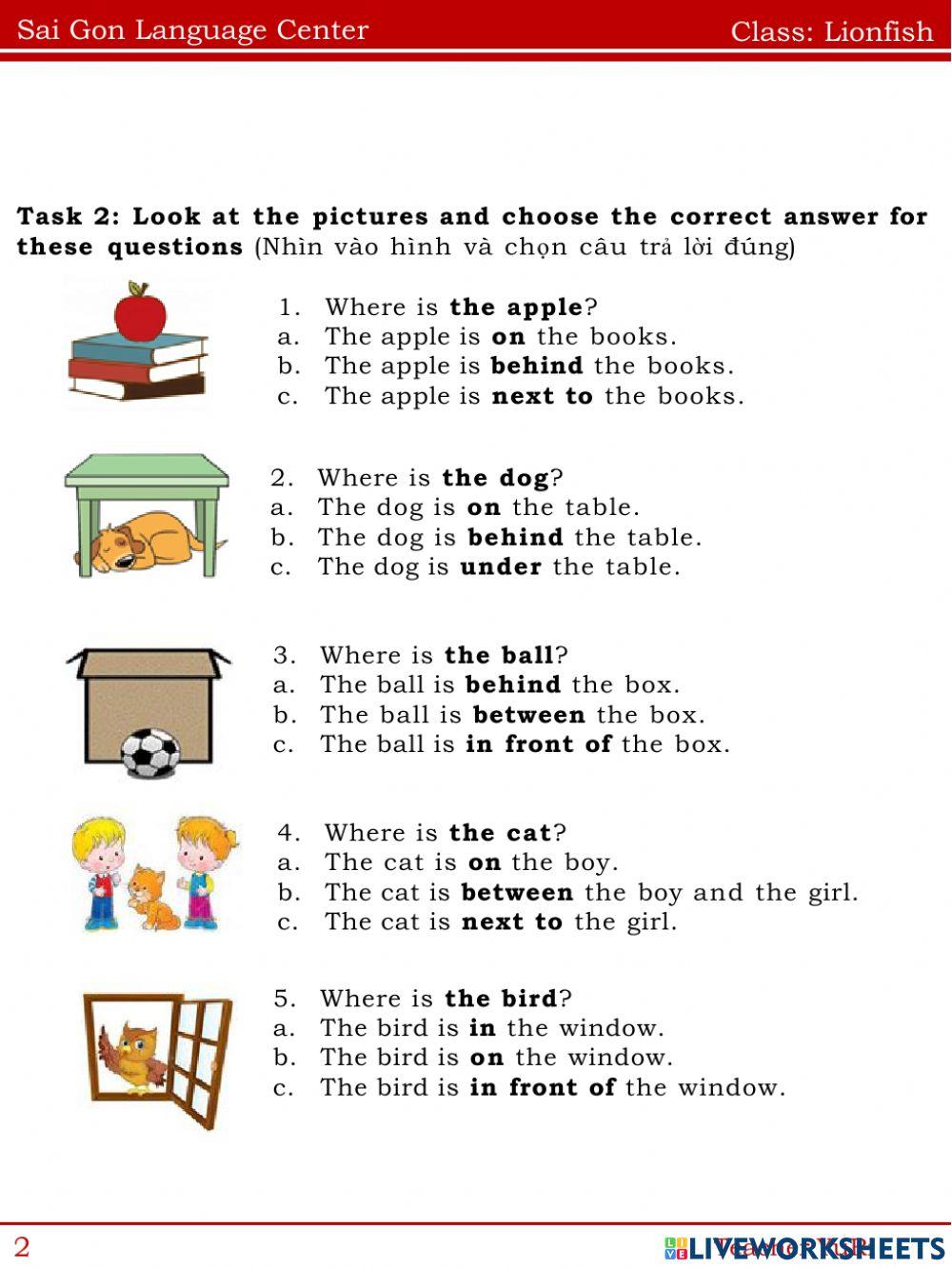 Unit 5: Where's the ball?