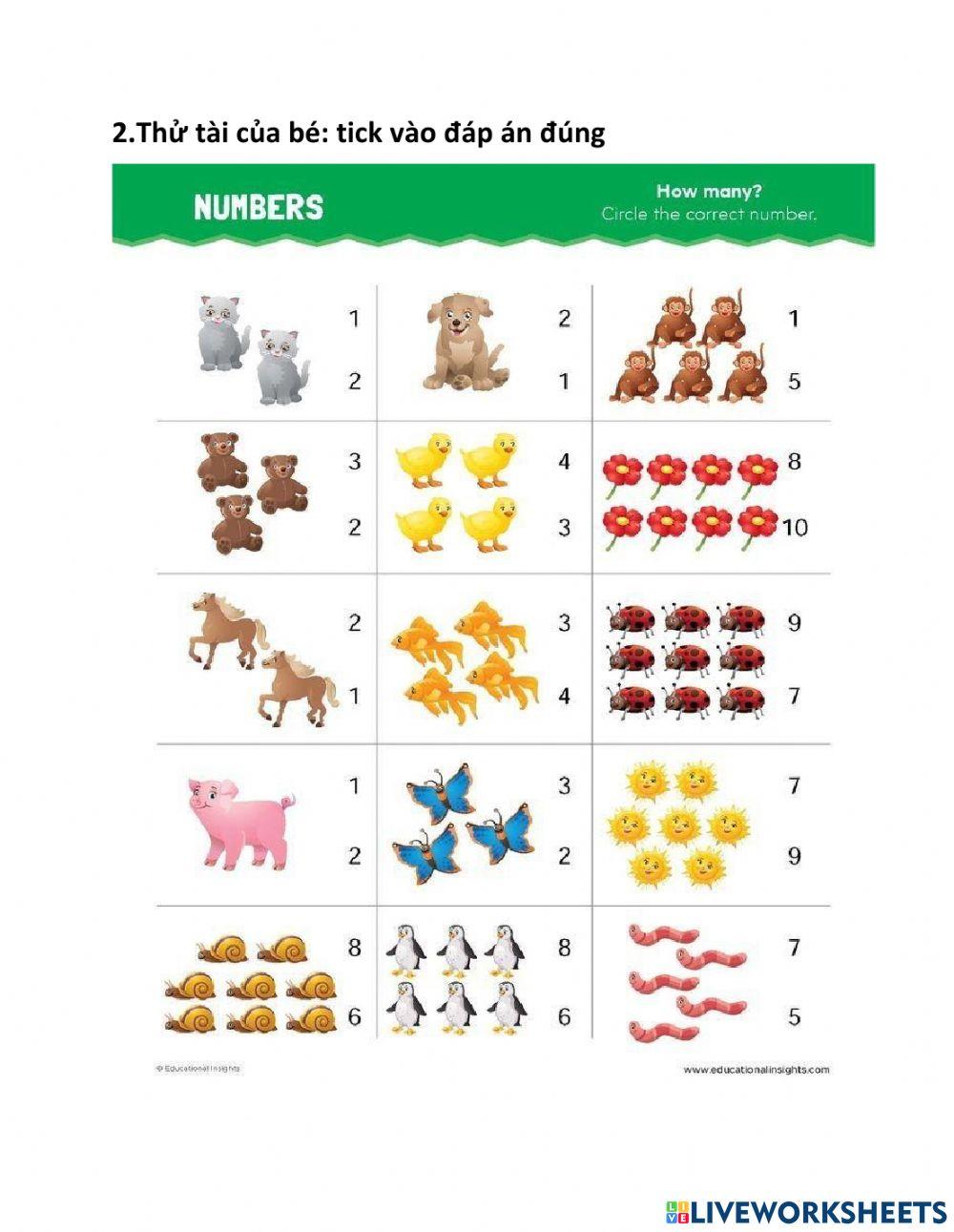 Toán ôn trong phạm 9