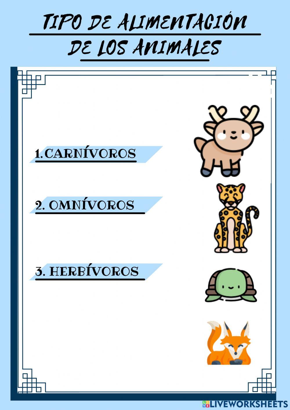 Animales Carnívoros, omnívoros y herbívoros