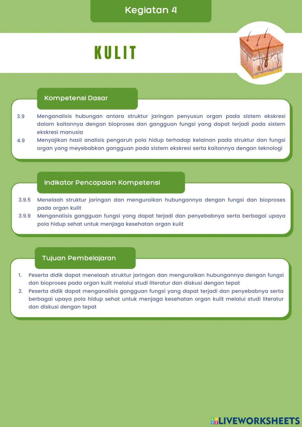 Sistem Ekskresi Manusia Organ Kulit