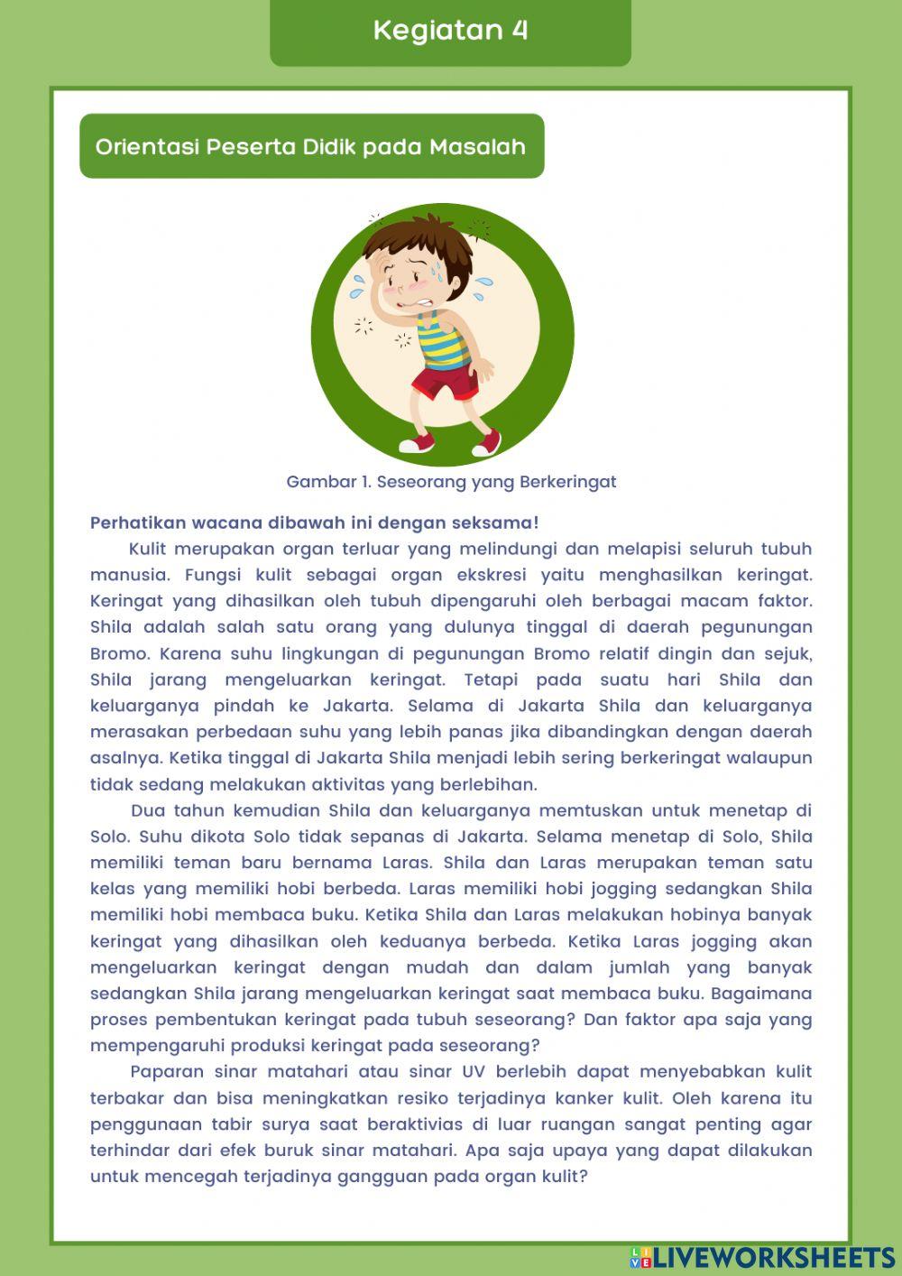 Sistem Ekskresi Manusia Organ Kulit