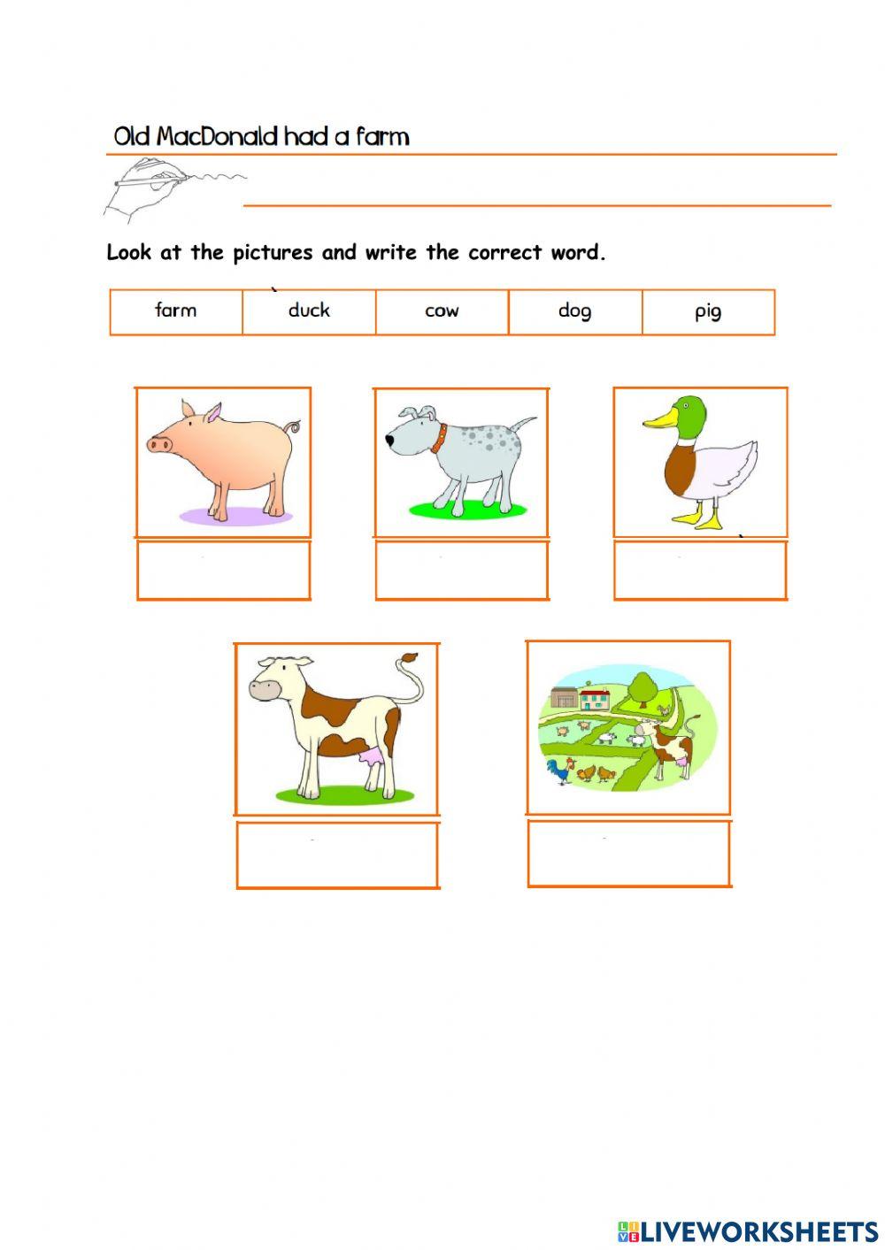 Old MacDonalds had a farm