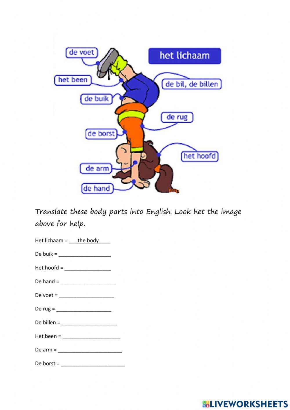 Body parts - face and body