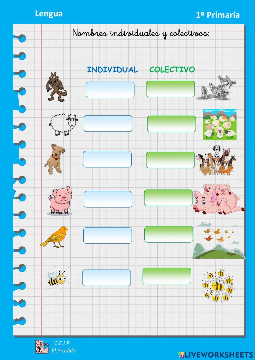 Nombres individuales y colectivos