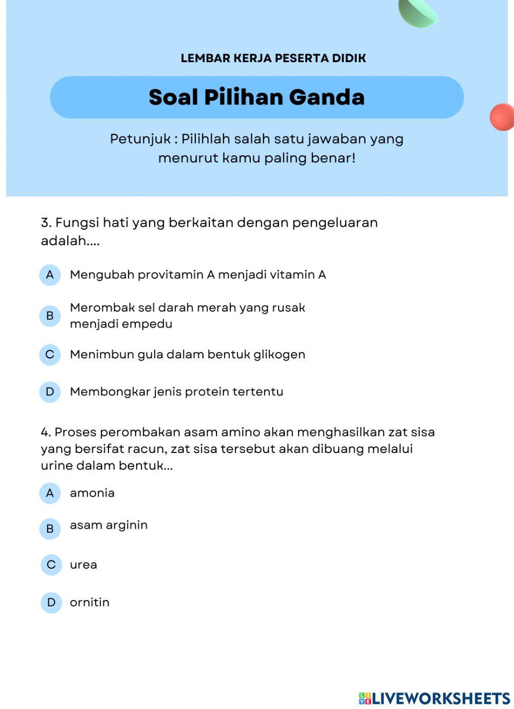 E-lkpd sistem ekskresi xi