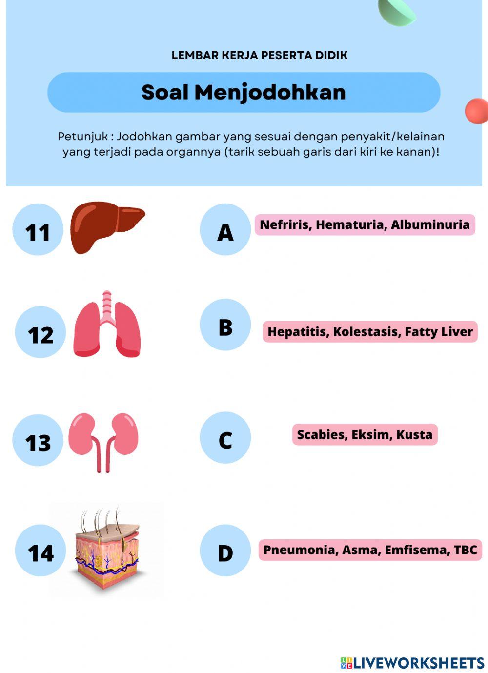 E-lkpd sistem ekskresi xi