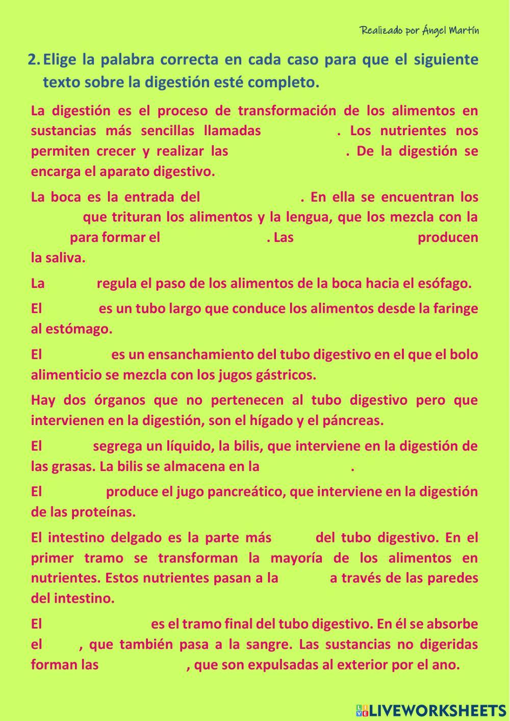 El aparato digestivo y la digestión