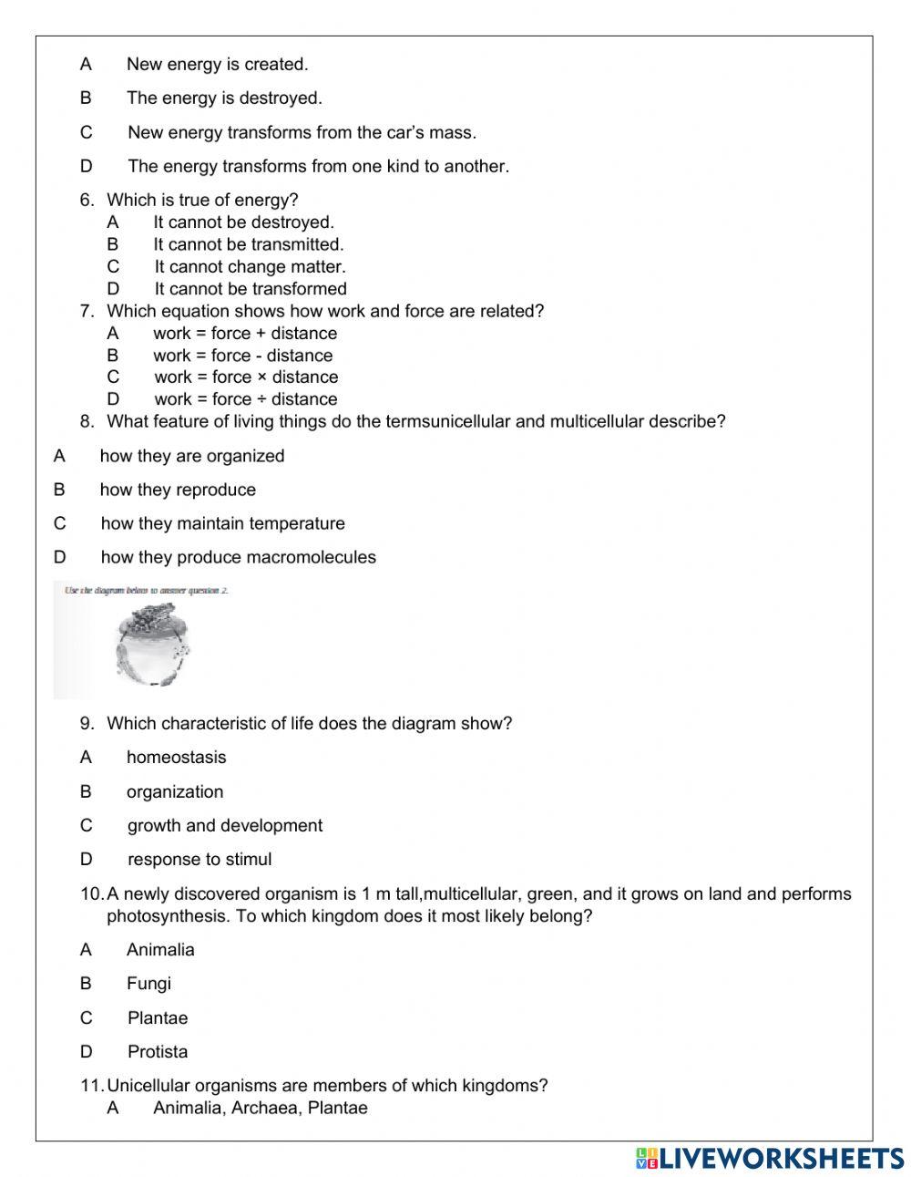 Term 2 revision Term 2 revision