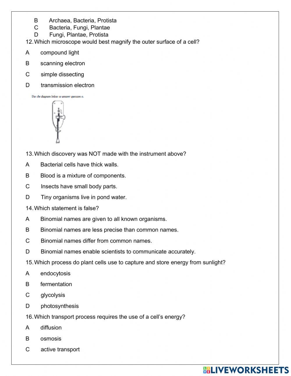 Term 2 revision Term 2 revision