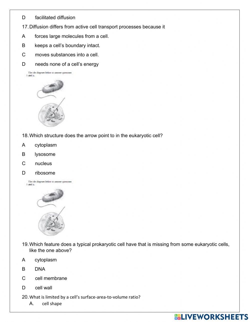 Term 2 revision Term 2 revision