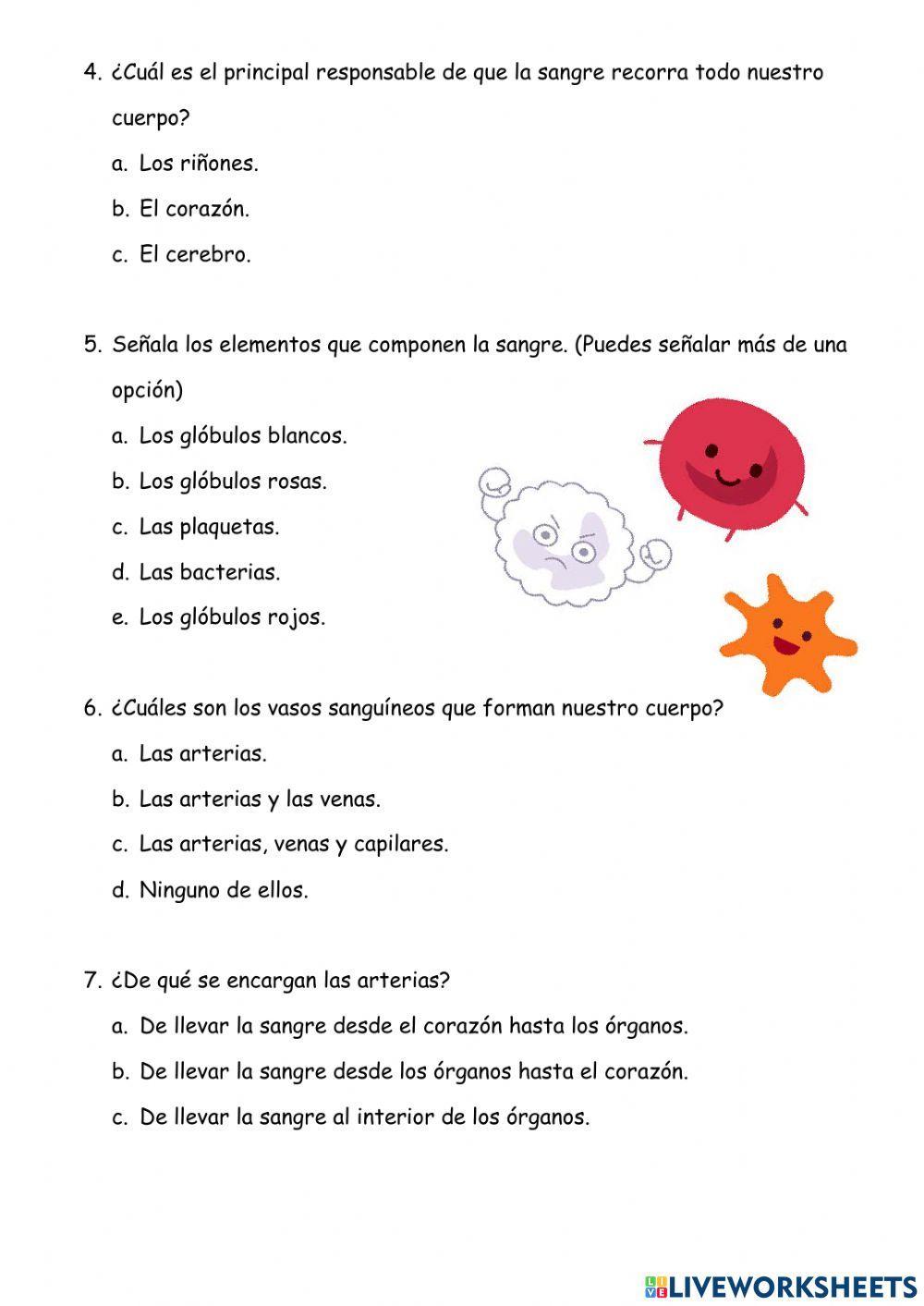 Aparato Circulatorio