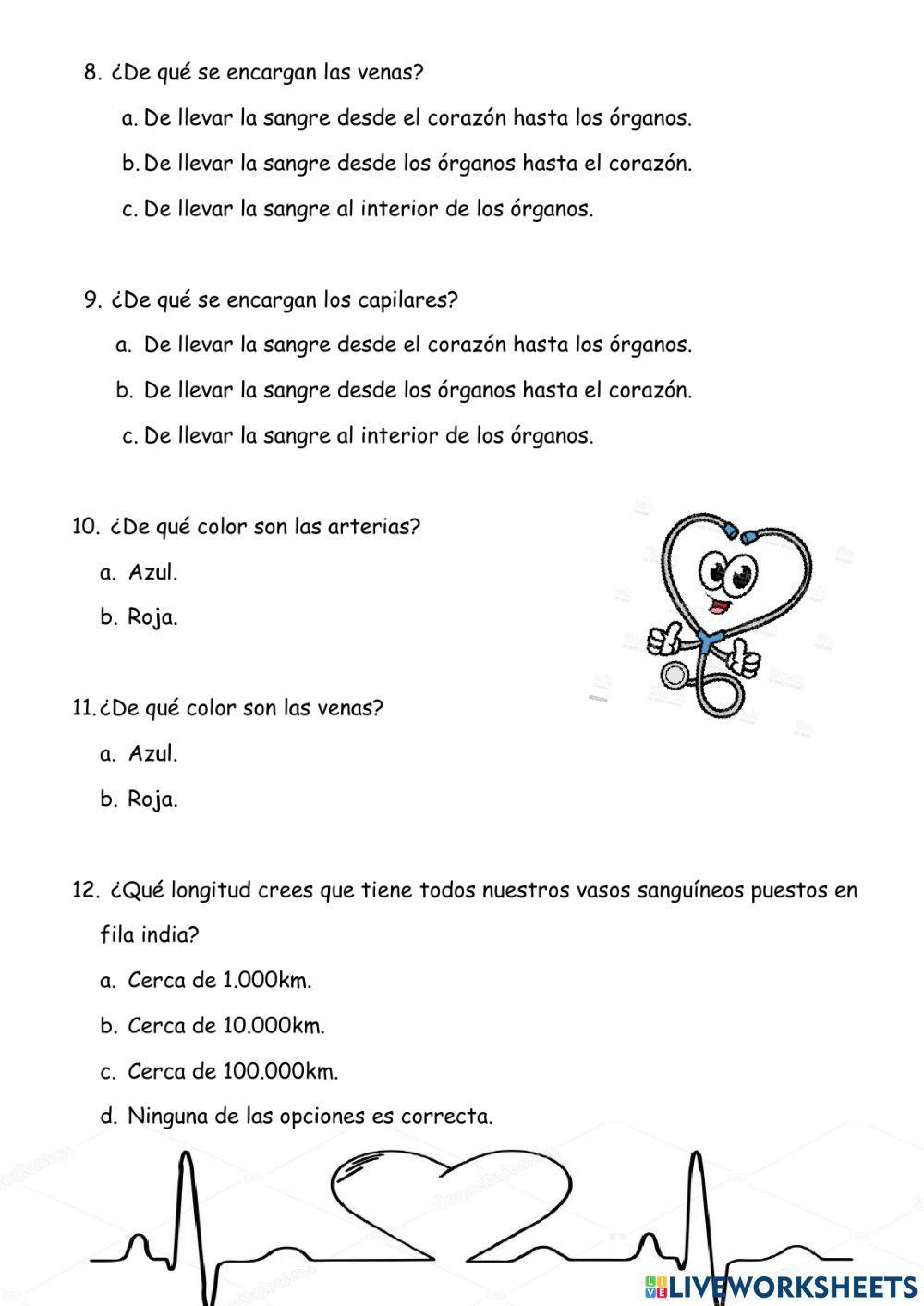 Aparato Circulatorio