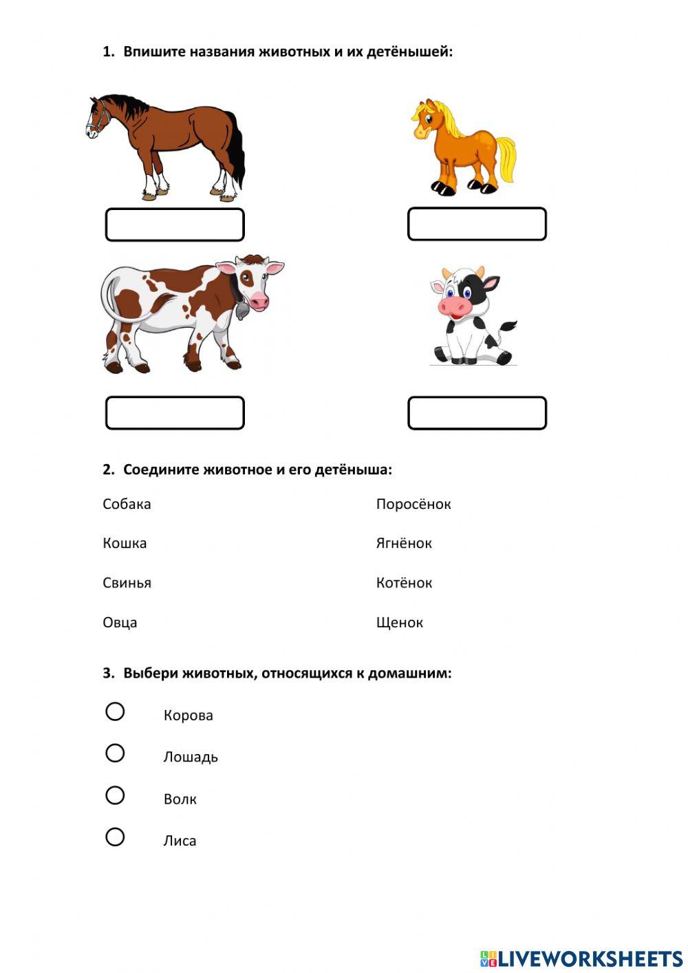 животные online exercise for | Live Worksheets