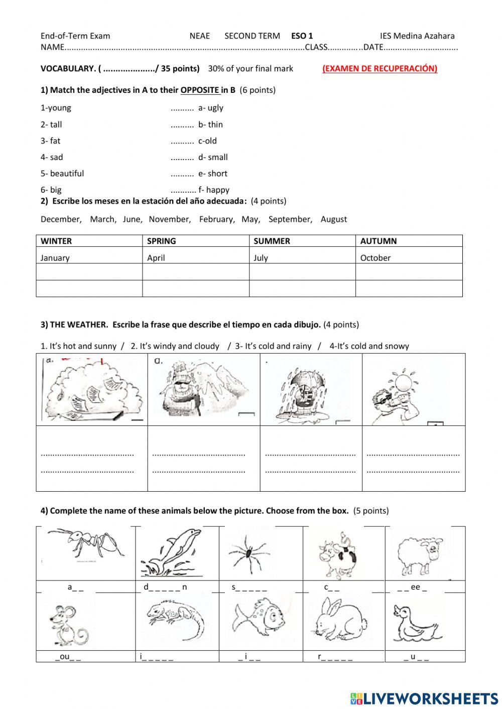 Basic grammar and vocabulary