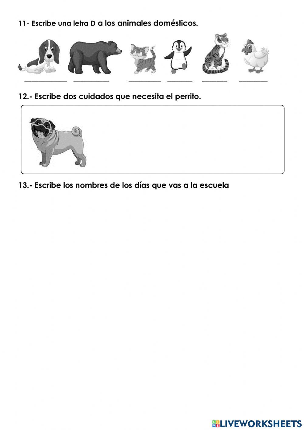 Conocimiento del medio