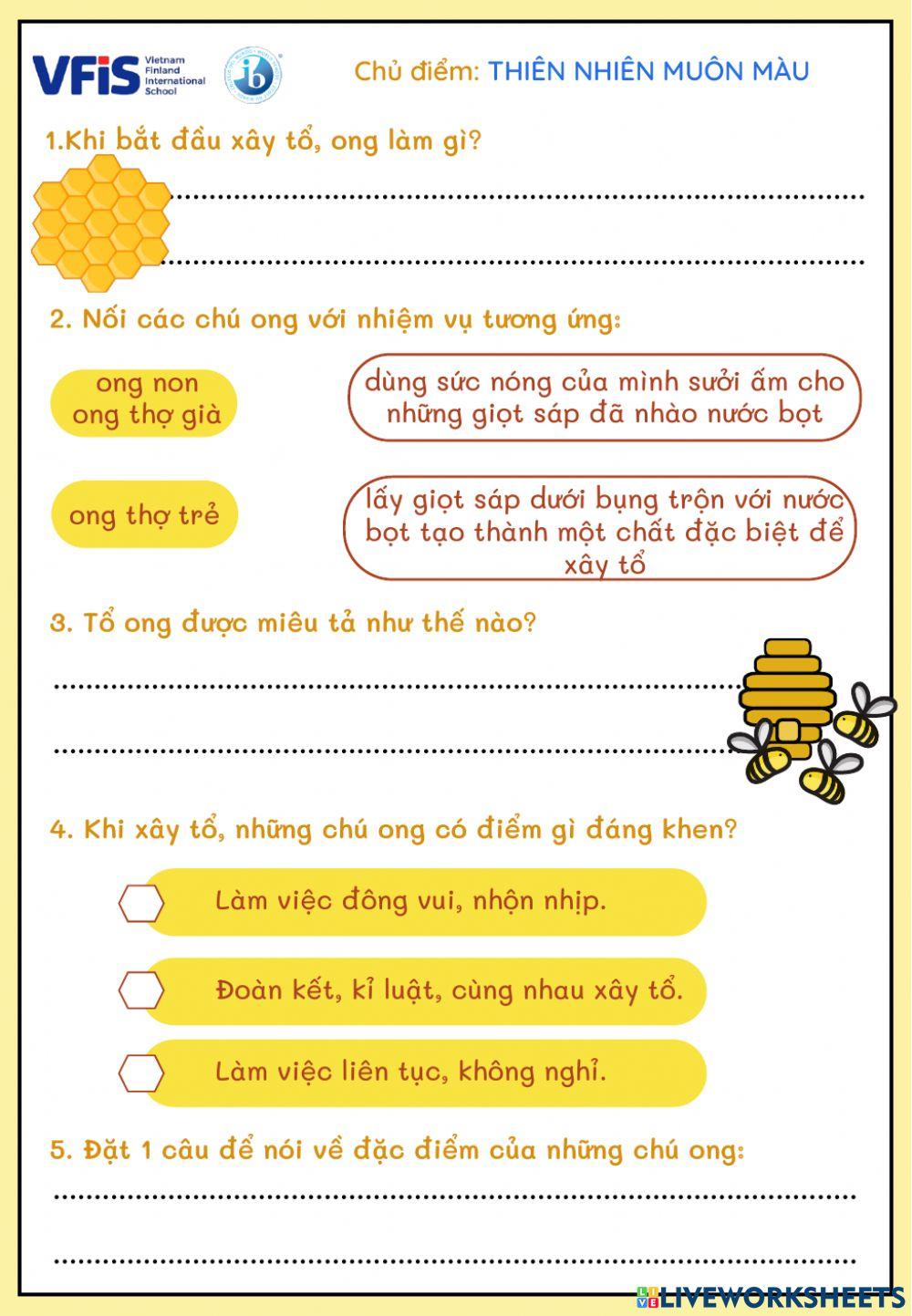 Vietnamese Week 24- Đọc 2