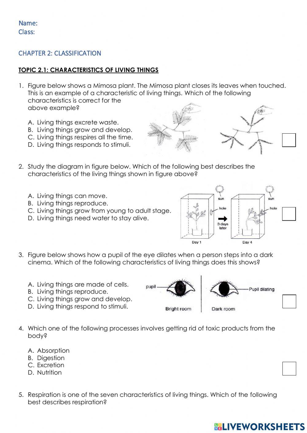 Classification Of Living Things Worksheet