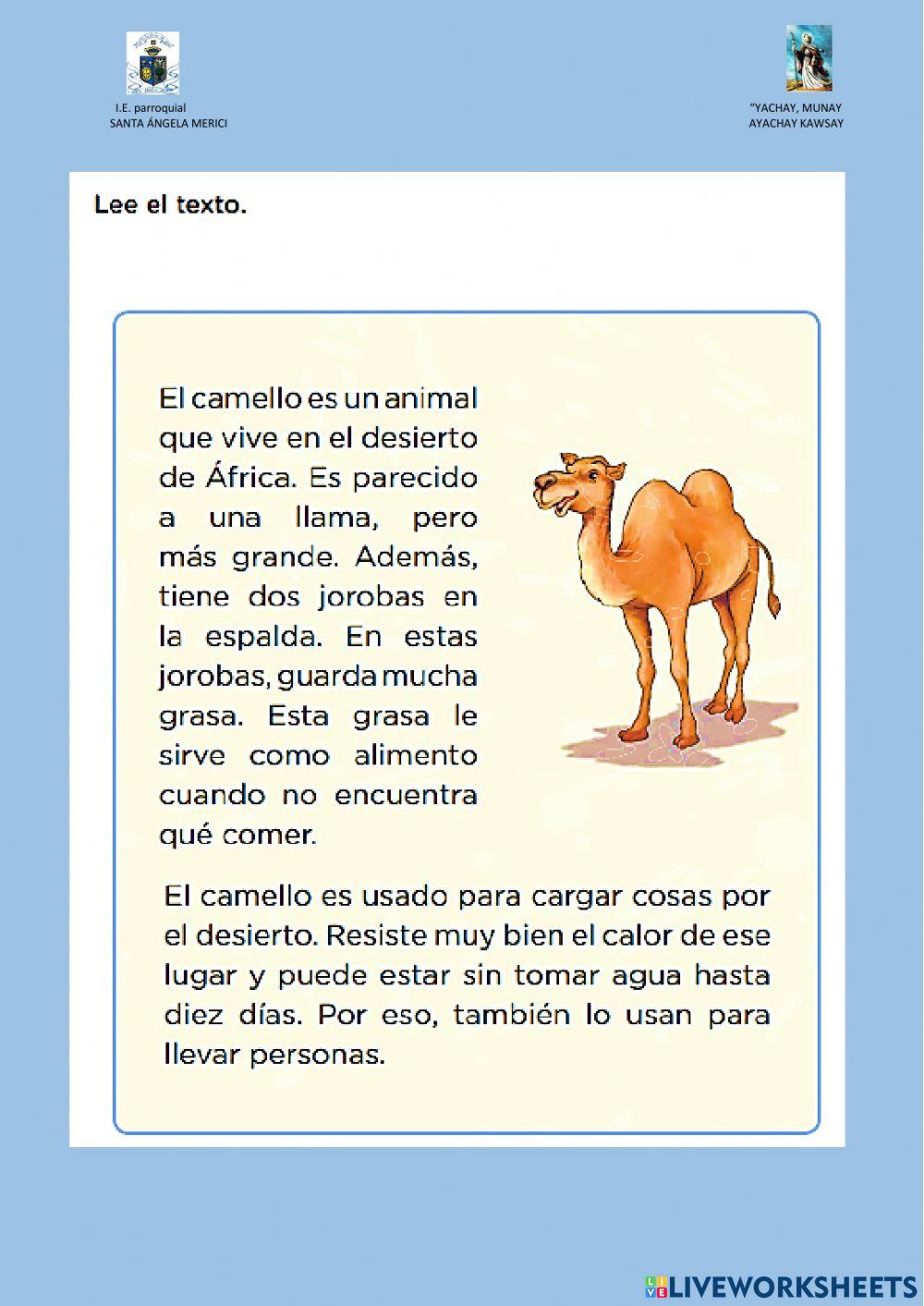 Comprensión lectora