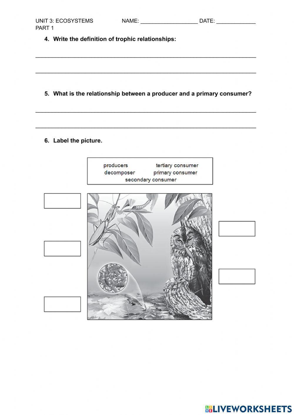 Ecosystems worksheet for 5TH GRADE Live Worksheets