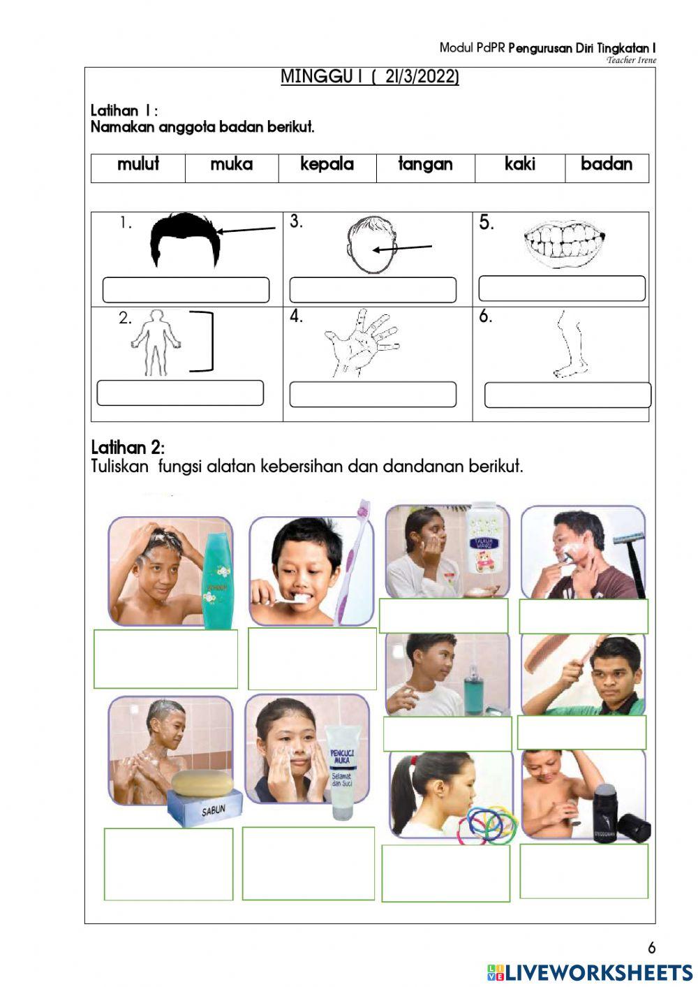 Kebersihan Anggota Badan dan Dandanan Diri