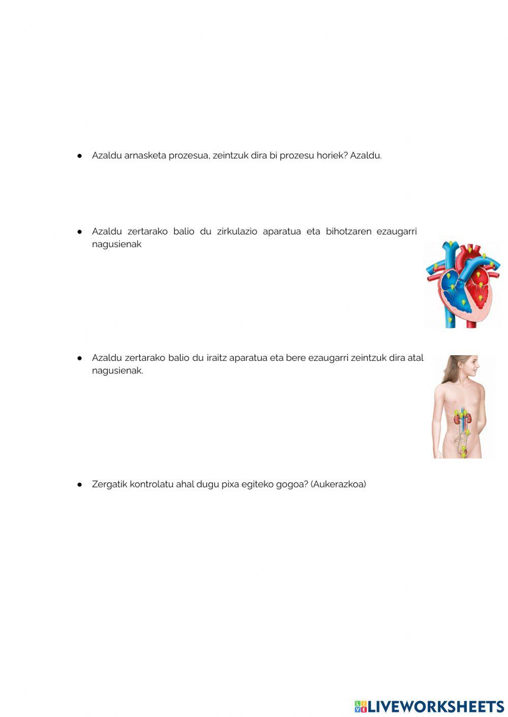 Nutrizioaren aparatuak