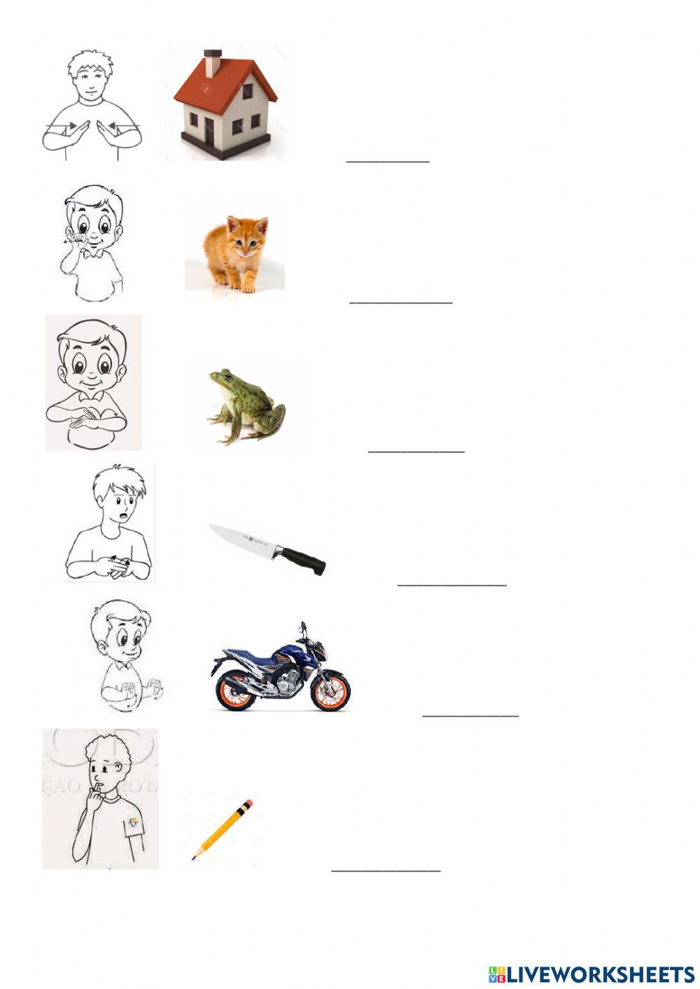 Libras - vocabulário diverso