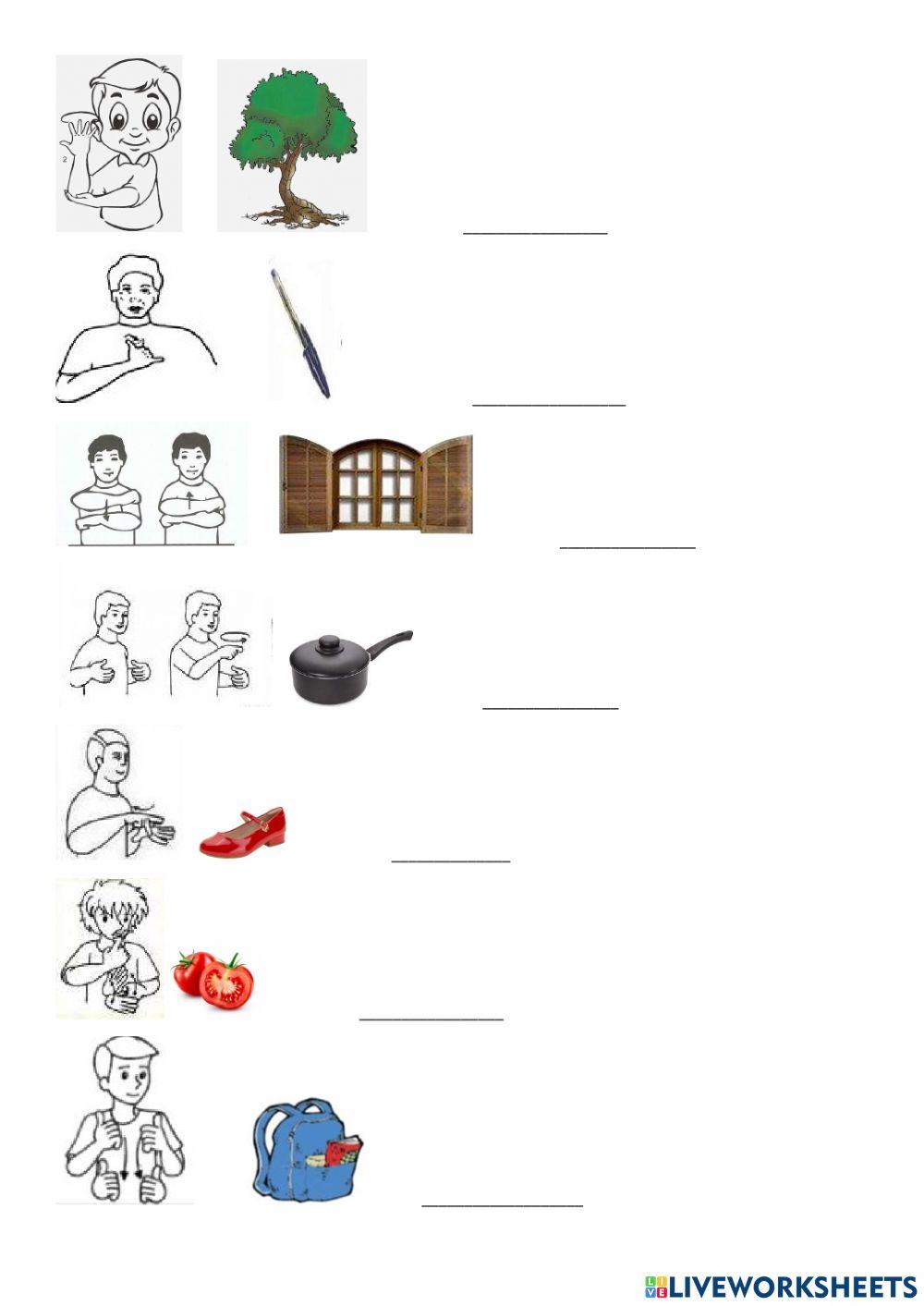 Libras - vocabulário diverso