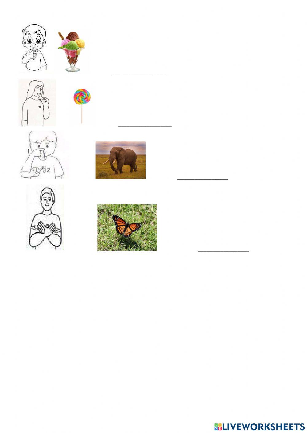 Libras - vocabulário diverso