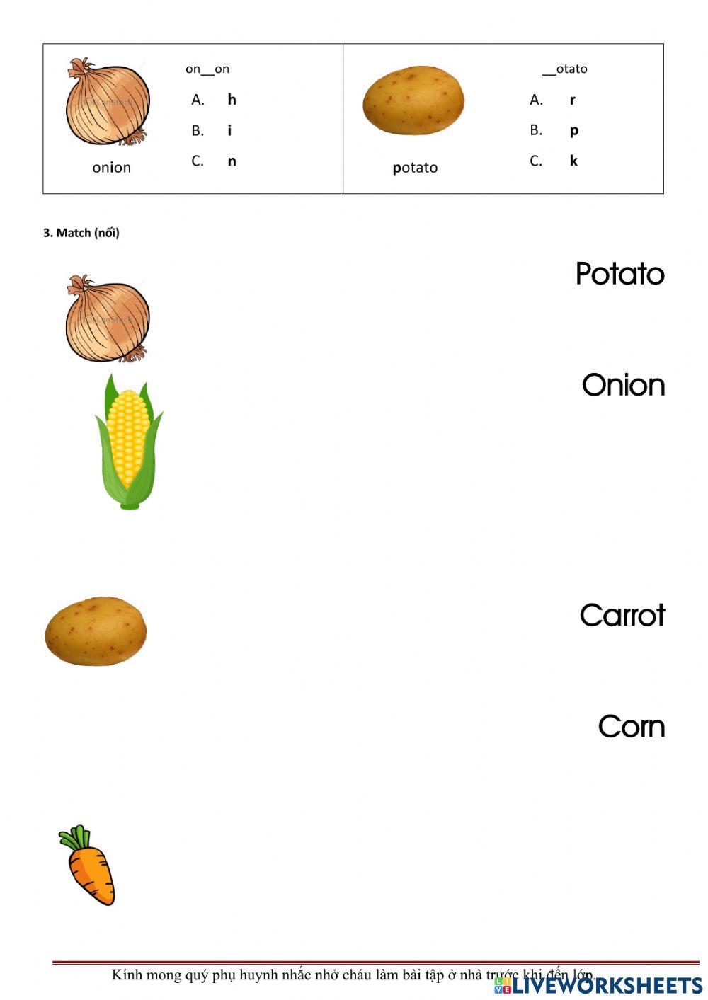 Corn, carrot , potato, onion