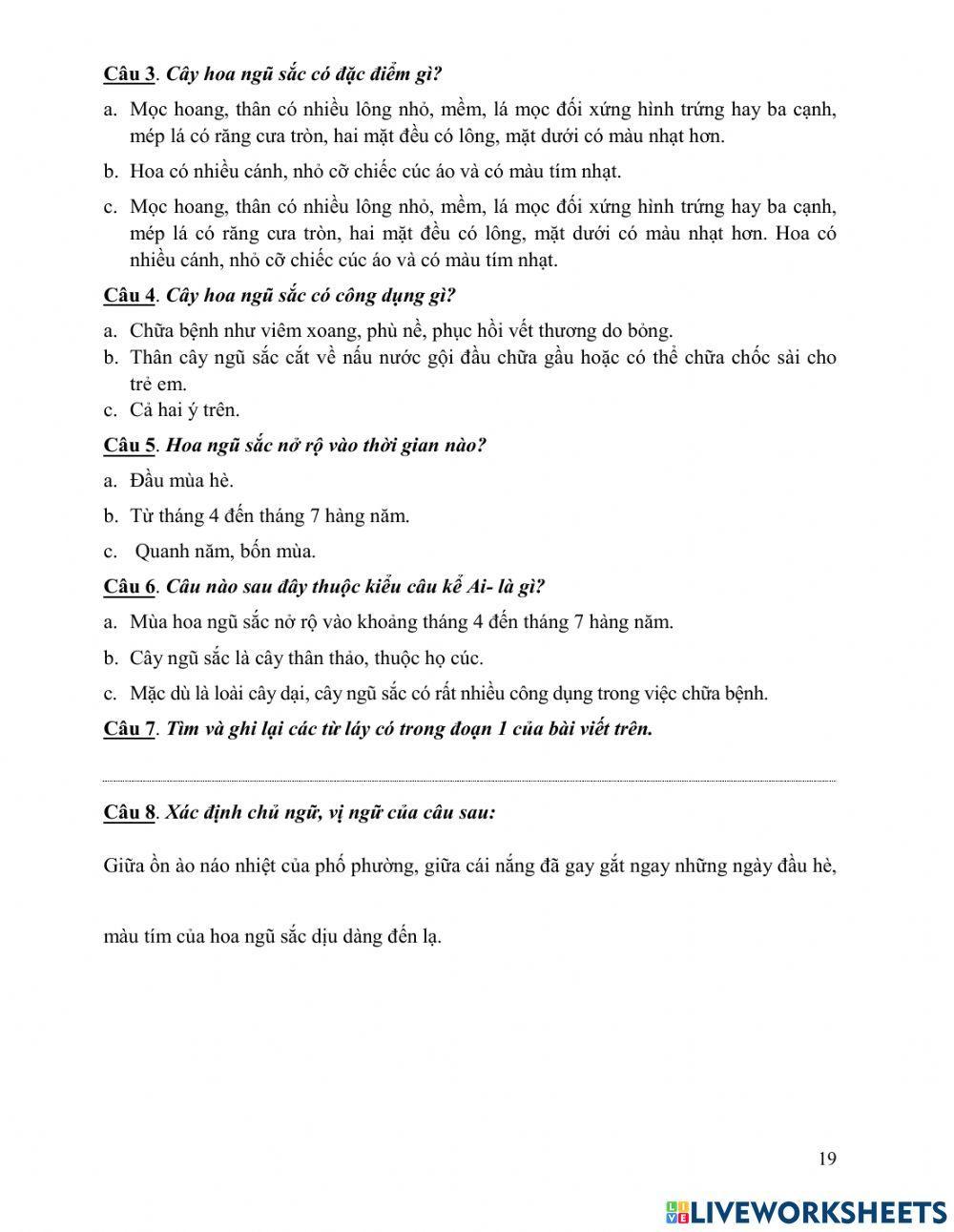 Tiếng Việt cuối tuần 27