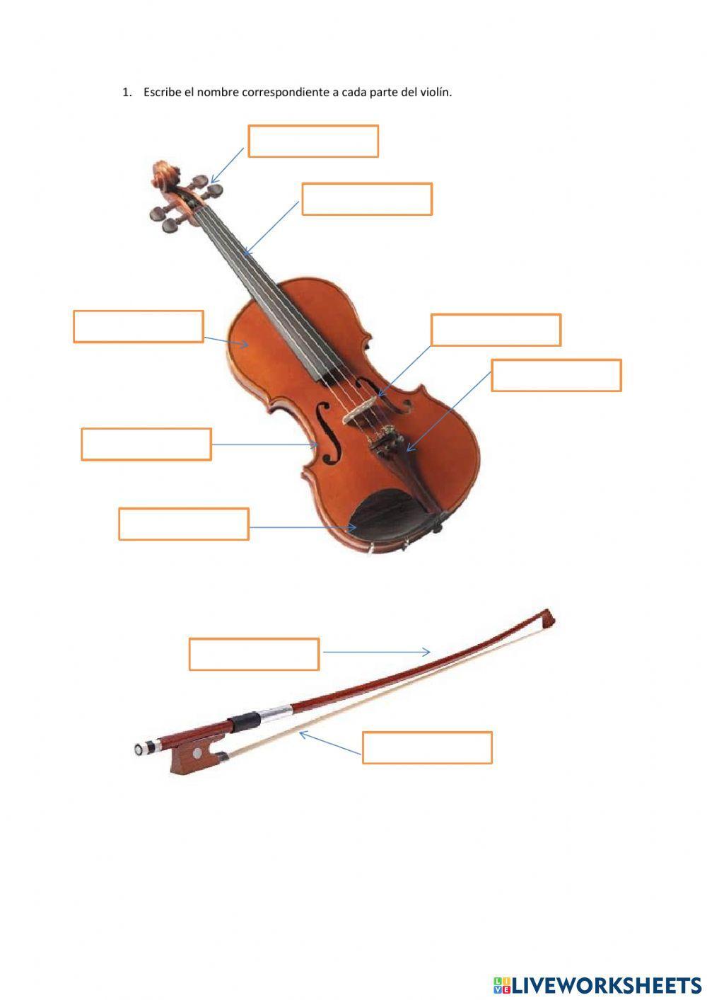 Partes del violín
