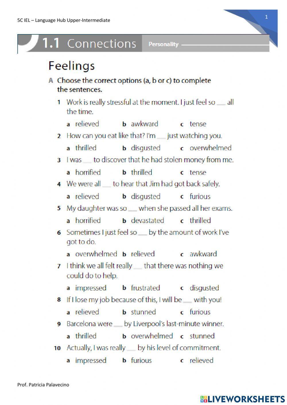 5C-LHUI Unit 1.1 Vocabulary Feellings