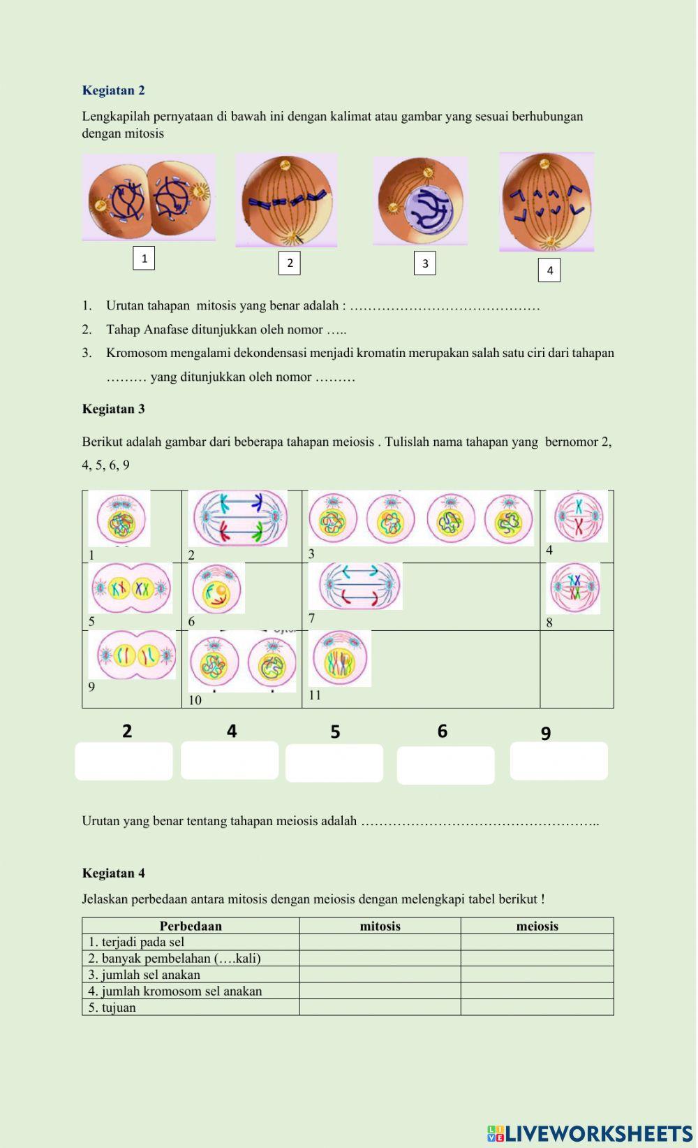 LKPD PEMBELAHAN SEL 1