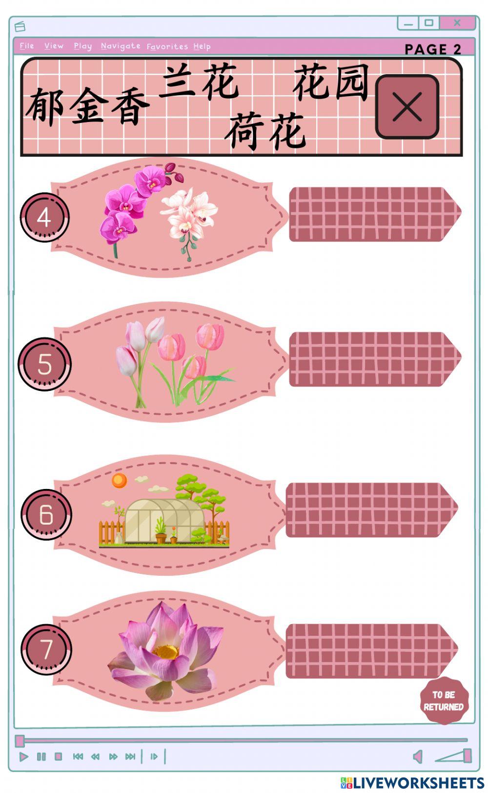 第四阶段《第五课花》生词练习（一）